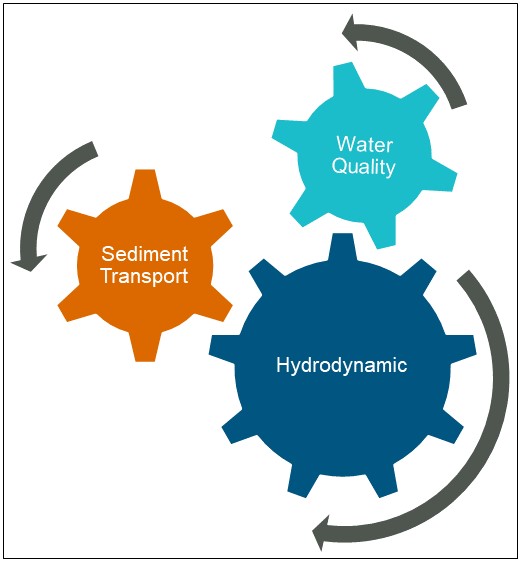 Components of the integrated biogeochemical model used in this study